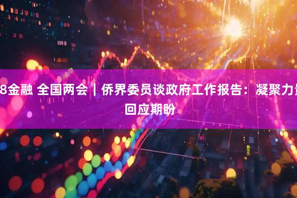 K8金融 全国两会｜侨界委员谈政府工作报告：凝聚力量 回应期盼