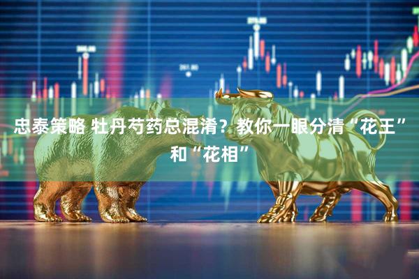 忠泰策略 牡丹芍药总混淆？教你一眼分清“花王”和“花相”