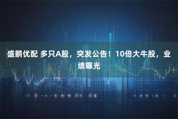 盛鹏优配 多只A股，突发公告！10倍大牛股，业绩曝光