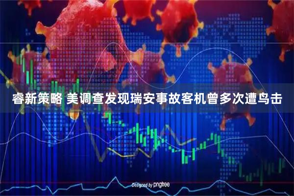 睿新策略 美调查发现瑞安事故客机曾多次遭鸟击