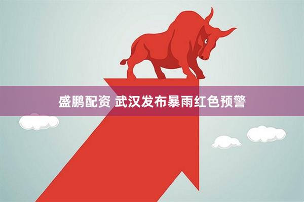 盛鹏配资 武汉发布暴雨红色预警